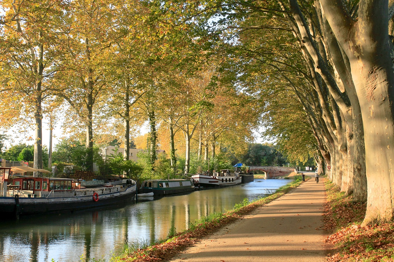 canaldumidi g26ff575f8 1280