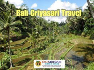 Bali Tours and Activities