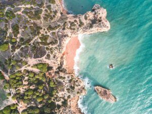 Faro