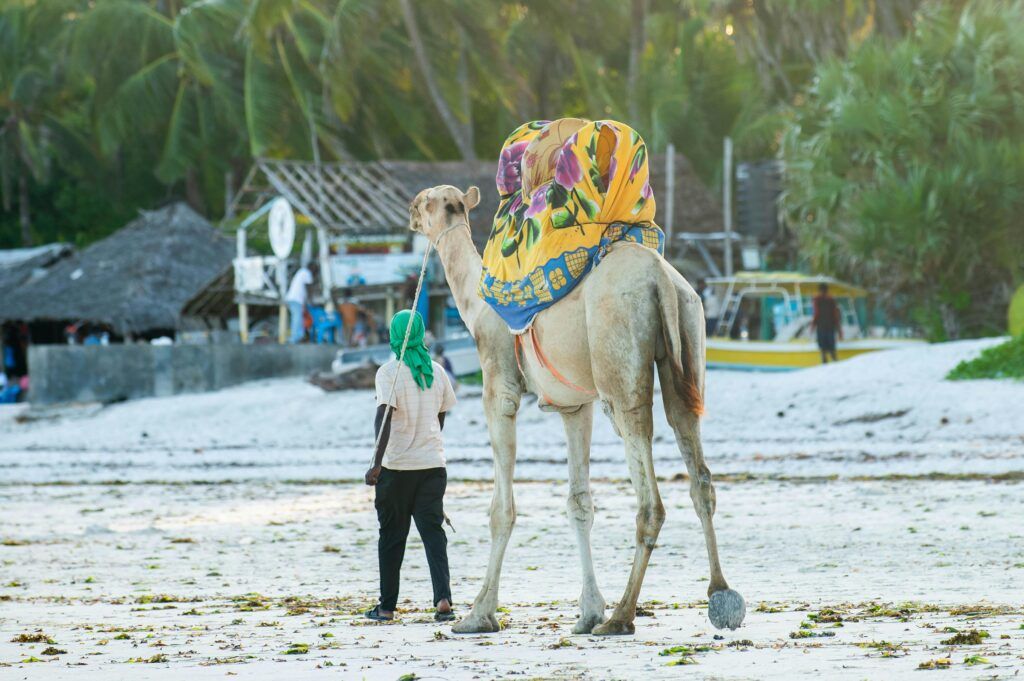 Mombasa