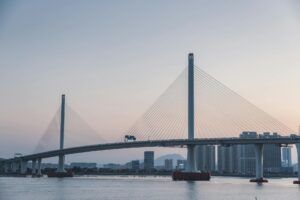 pexels nano71 31264083